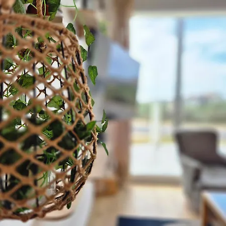 Apartment Le Shack - Avec Terrasse Vue