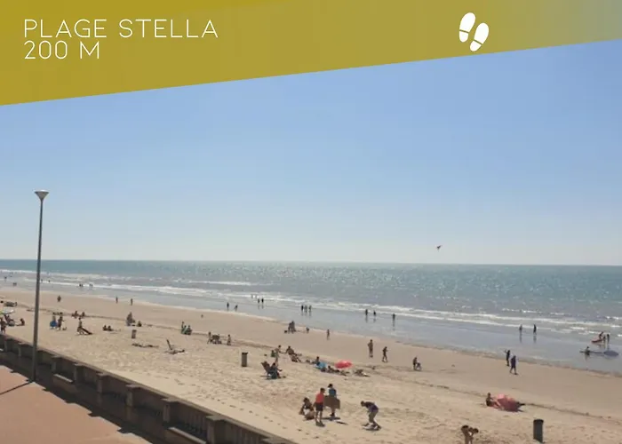 Daire Le Shack- Vue -100m - 2 Terrasses Cucq